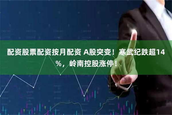 配资股票配资按月配资 A股突变！寒武纪跌超14%，岭南控股涨停！